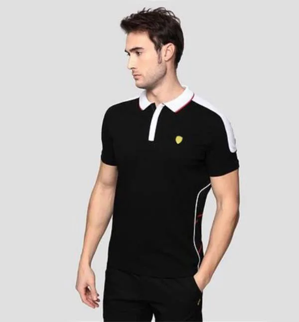 

F1 team polo shirt, men's lapel T-shirt, polyester quick-drying top, the same style is customized