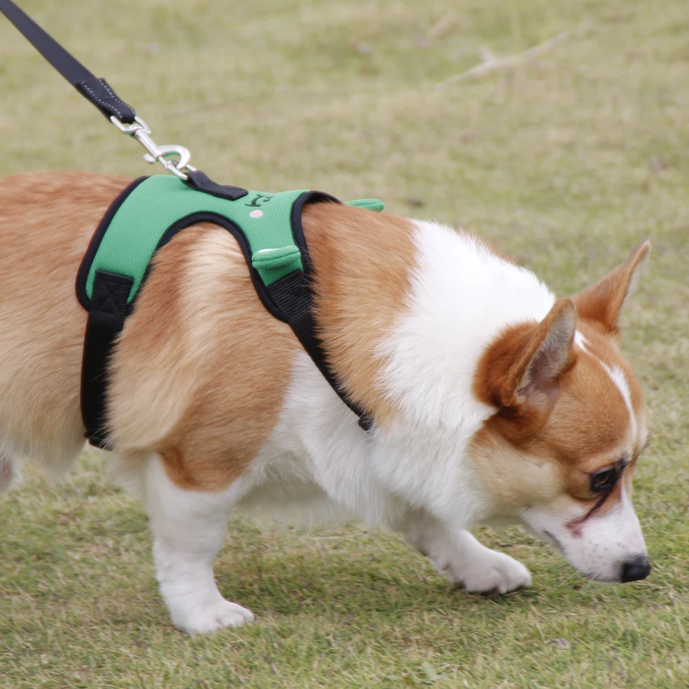 

Fashion Cartoon Dog Harness and Leash Set Corgi Teddy Traction Vest Adjustable Chest Harness Dog Accessories