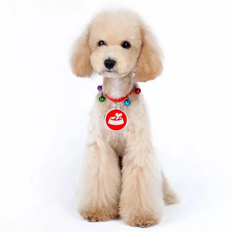 2 шт./Лот подвеска на ошейник для кошек и щенков | Украшения аксессуары