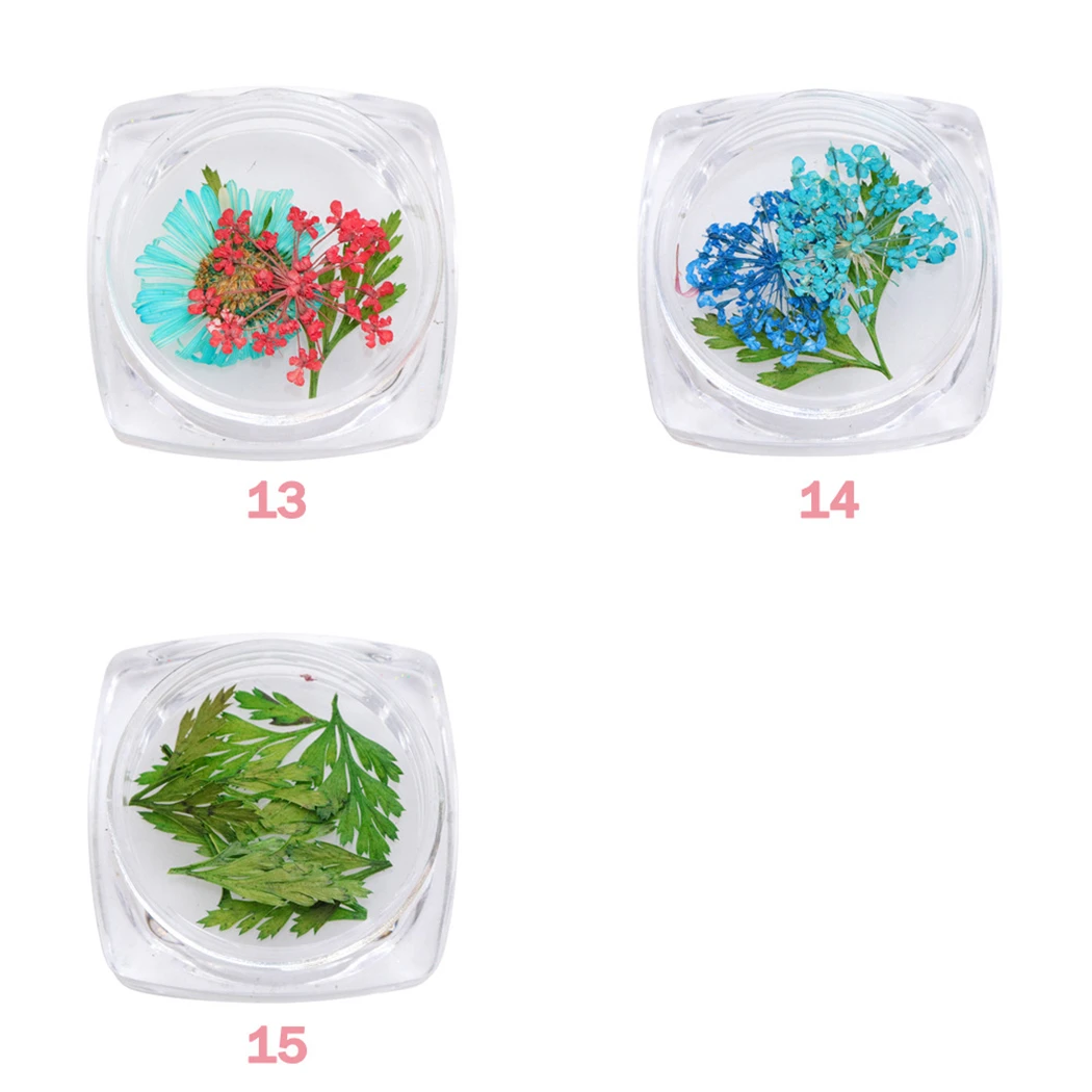 

15pcs/set Beautiful Art Decoration Assorted DIY Dried Flower Art Flower Handmade DIY Accessories Supplies Gifts 2020 New