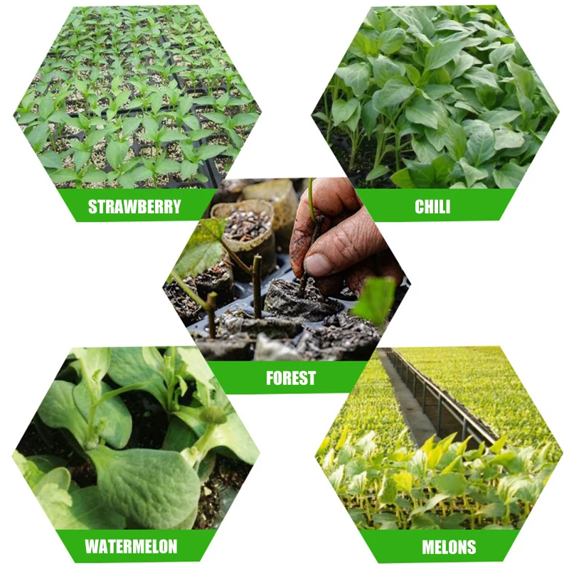 

10Pcs Seeding Tray Plastic Nursery Tray Succulent Plants Pot Seed Grow Box Tray RT88