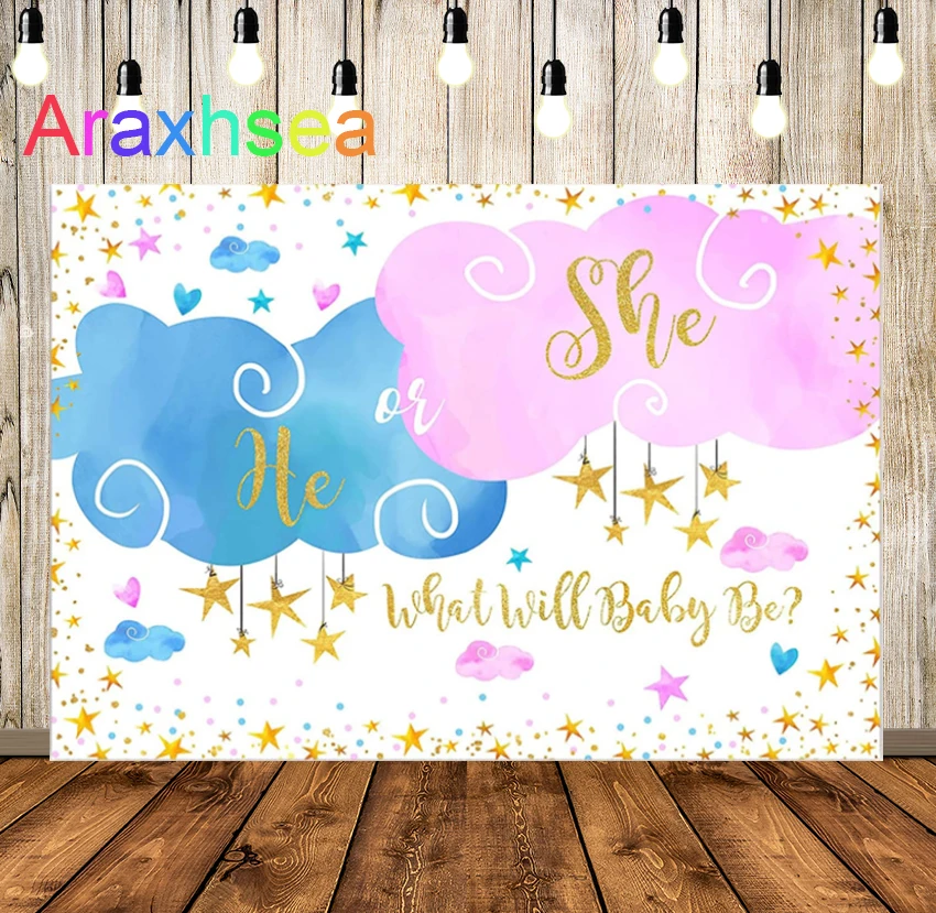 

Blue or Pink Cloud Gender Reveal Backdrop He or She Gender Reveal Twinkle Star Clouds Photography Background What Will Baby Be