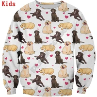 cute labrador 3d printed hoodies pullover boy for girl long sleeve shirts kids funny animal sweatshirt