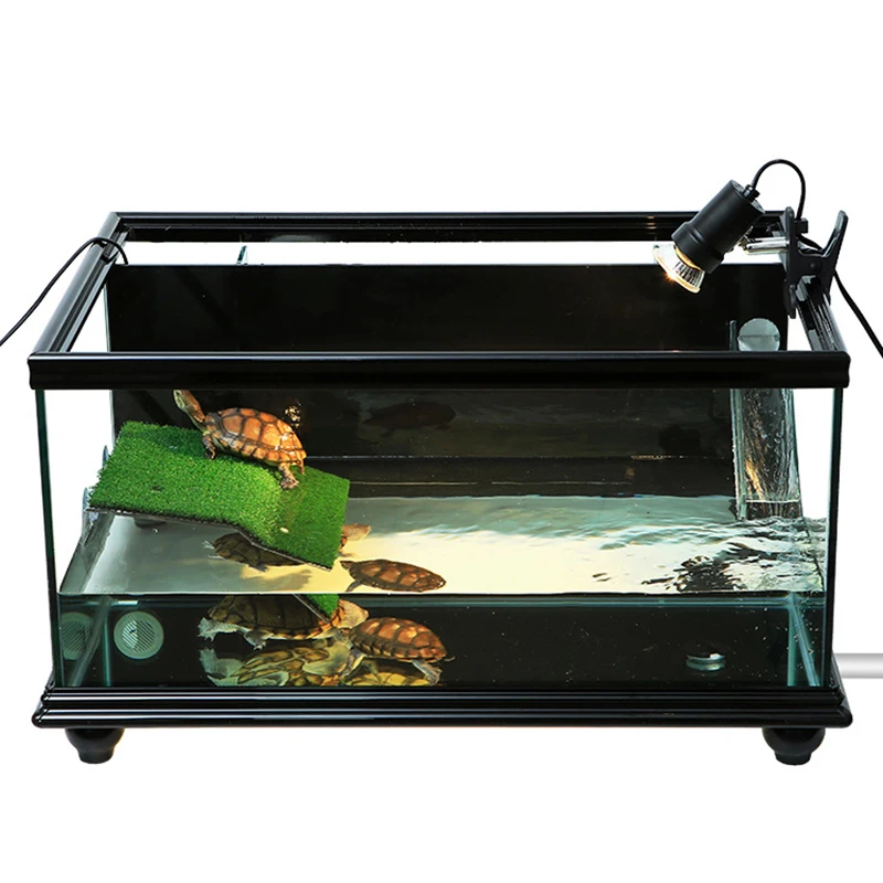 Tortoise Terrace Rest Pier Small Reptile Swimming Decoration | Дом и сад
