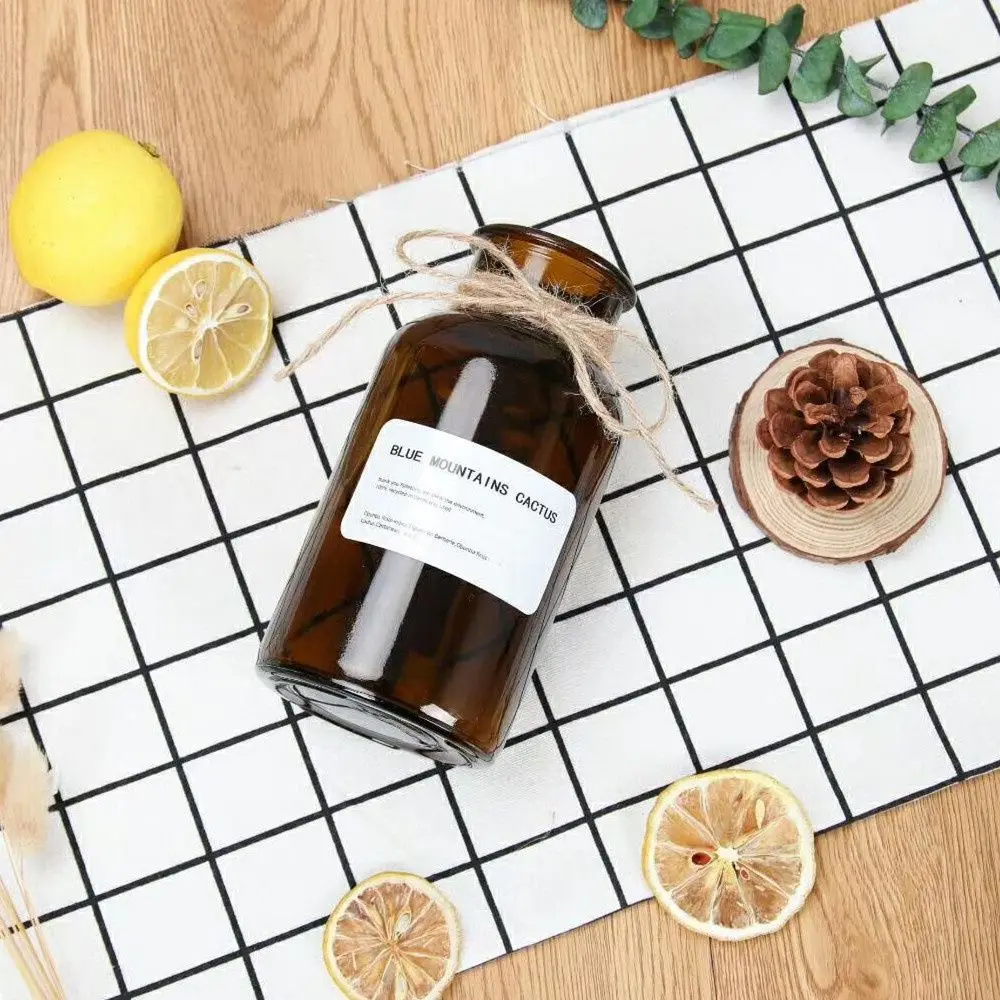 Simple Home Decoration Hydroponics Dried Flower Transparent Vase Bottle Glass | Дом и сад