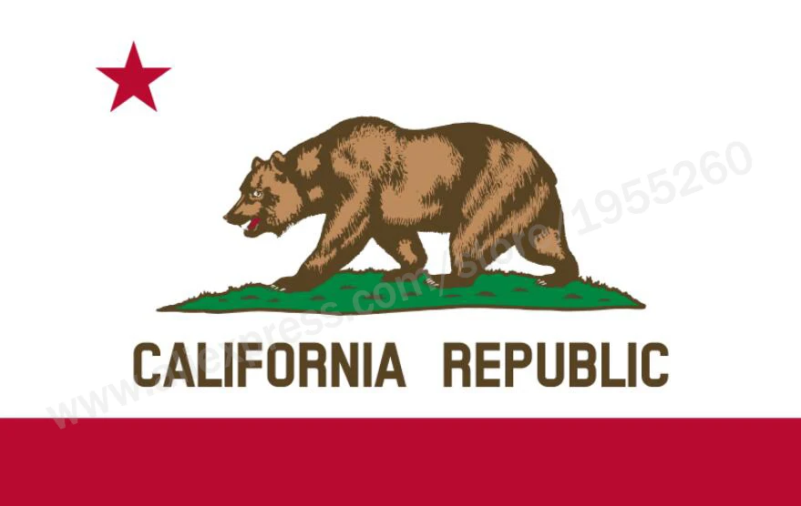 

California Flag 3 X 5 FT 90 X 150 Cm USA States Flags Banners