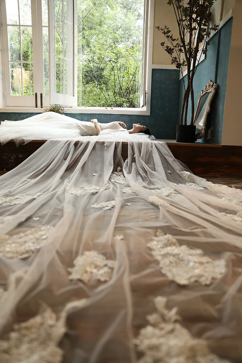 JaneVini винтажное кружево два слоя белая Фата невесты с расческой большая