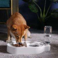 dual port pet automatic feeder for feeding and drinking clear water bottle removable and washable plastic pet bowl for cat dog