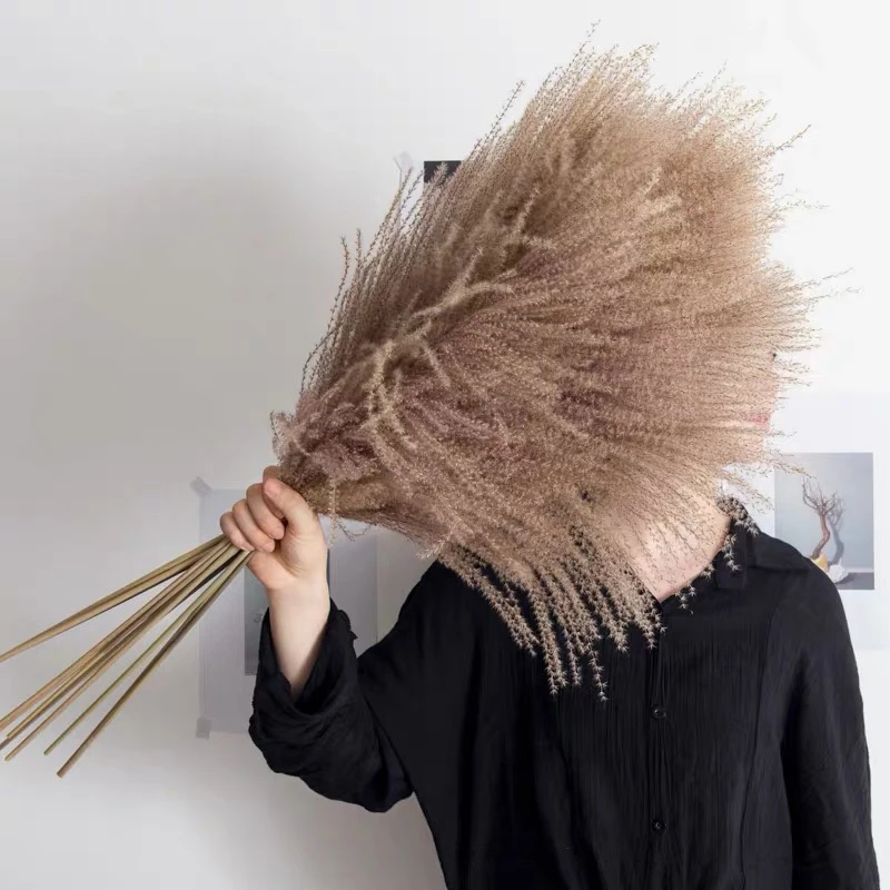 Настоящая сушеная пампасная трава свадебный цветок букет натуральные растения