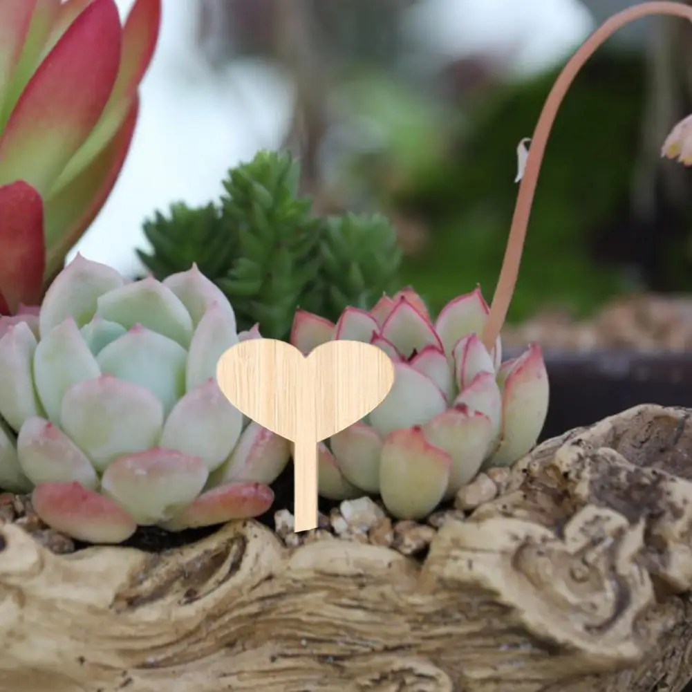 

Цветочный маркер, фотоэтикетка, защита от деформации, удобная естественная тонкая текстура, цветочное Примечание