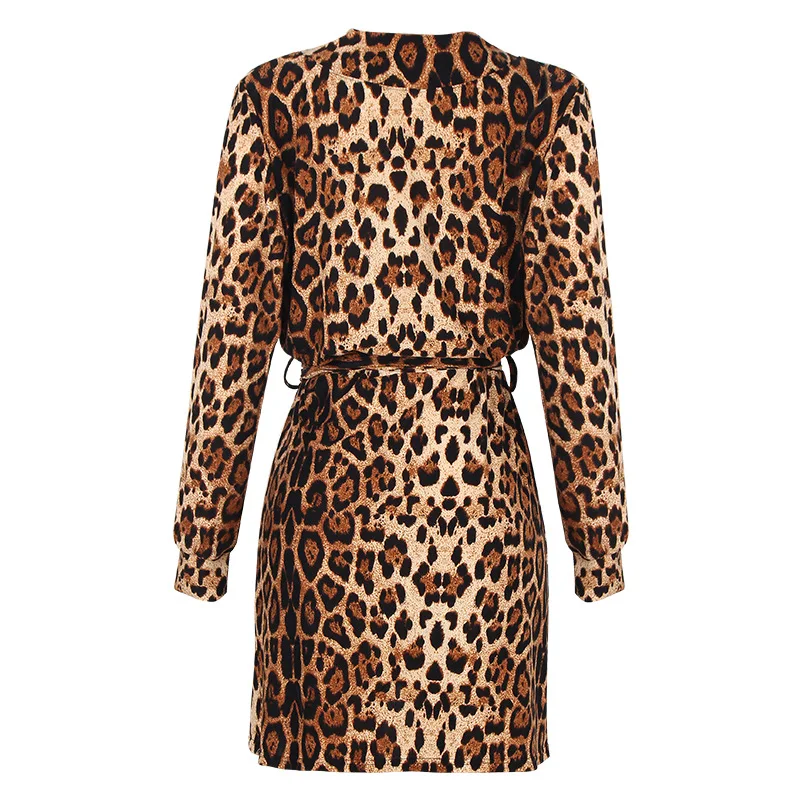 

Women's 2021 new Leopard Print Long Sleeve V-neck irregular dress