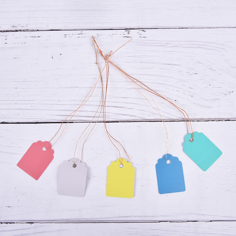 

100pcs Waterproof Strip Line Plant Labels Plants Hang Tag Hanging Tags Flower Pot Marker Signs Garden Decoration Gardening Tools
