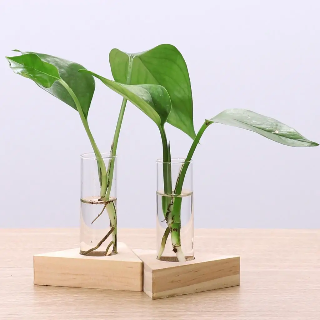 

2pcs Rustic Test Tube Flower Vases in Wood Stand for Home Decor Wooden Display