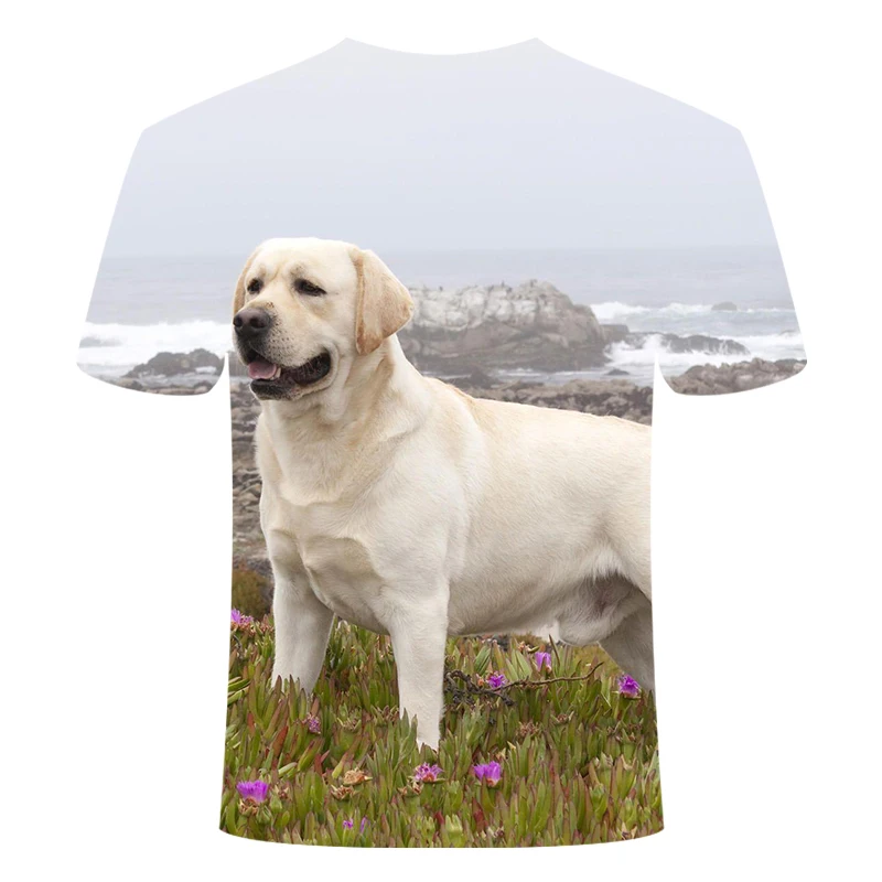 

2020 3D printed pet dog T-shirts Labrador retriever large size L T-shirt XXS-6XL