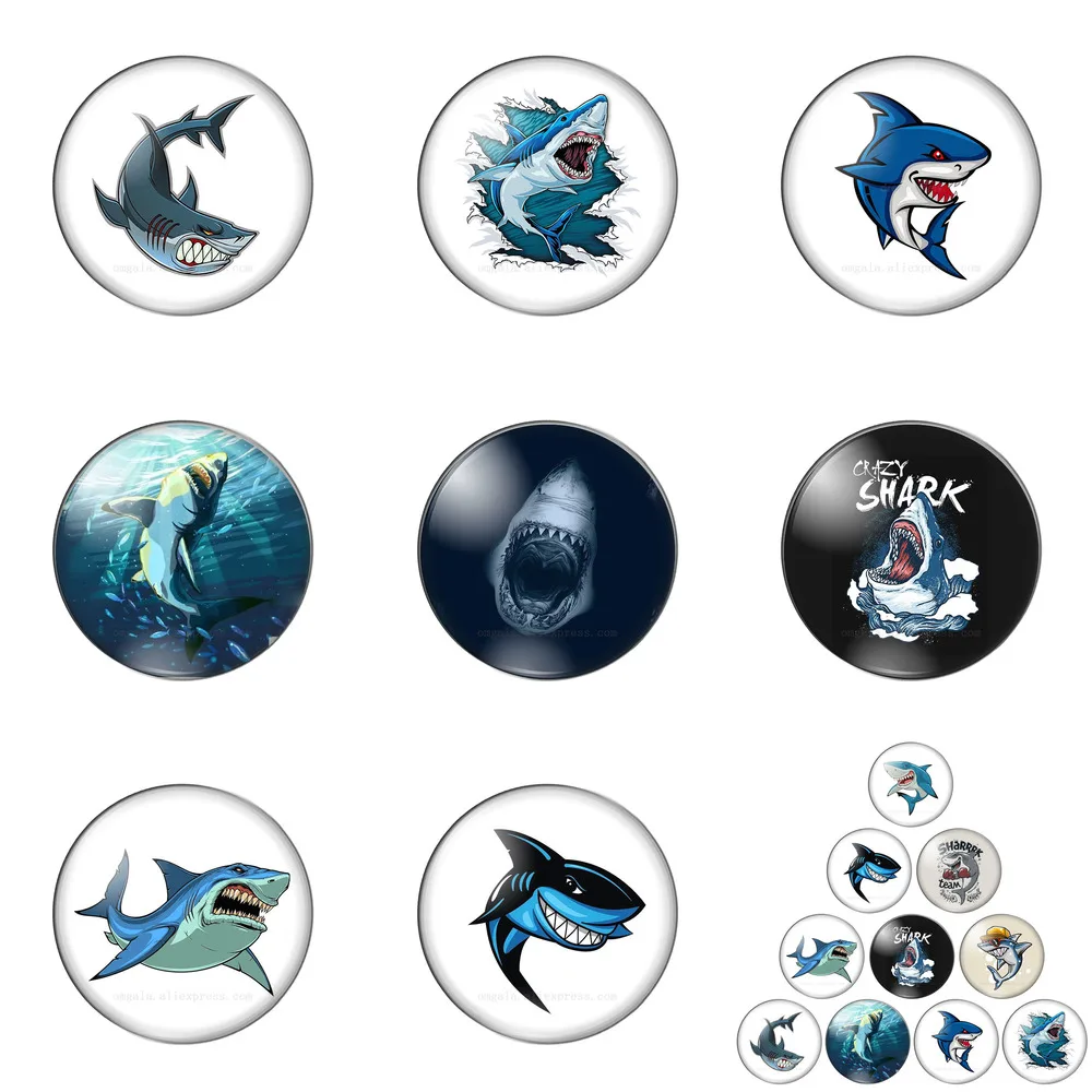 Cartoon Shark Sea Animals Drawings 10mm/12mm/14mm/16mm/18mm/20mm/25mm Round Photo Glass Cabochon Demo Flat Back Making Findings