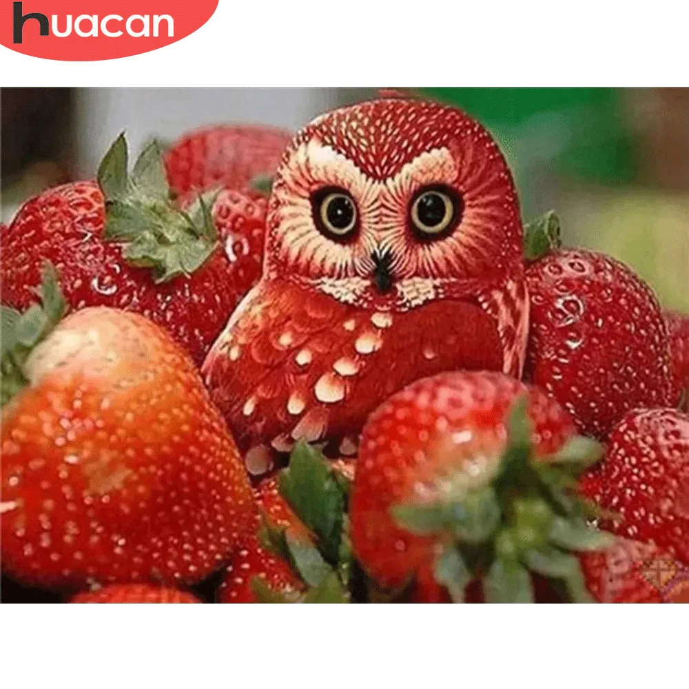Алмазная мозаика HUACAN 5D сделай сам животное в виде совы алмазная живопись