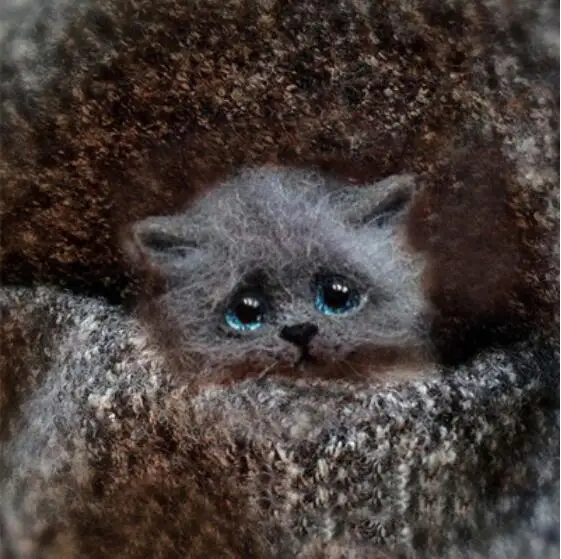 F Кот, лиса, дубины, енот. Шерстяной набор для рукоделия, войлок, игла для валяния, брелок, Рукоделие, сделай сам, ручная работа - Цвет: F