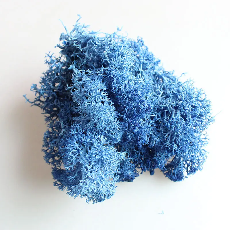 blue Натуральный вечный растительный мох, сохраненный искусственный цветок, настенный искусственный пейзаж, цветы, сушеная трава, товары для сада, украшение дома - Цвет: blue