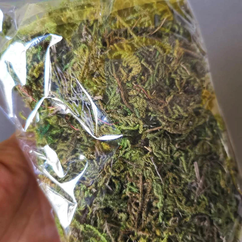 Продажа ~ речной песок/белый/фантазия миниатюры/милые/Сказочный Садовый