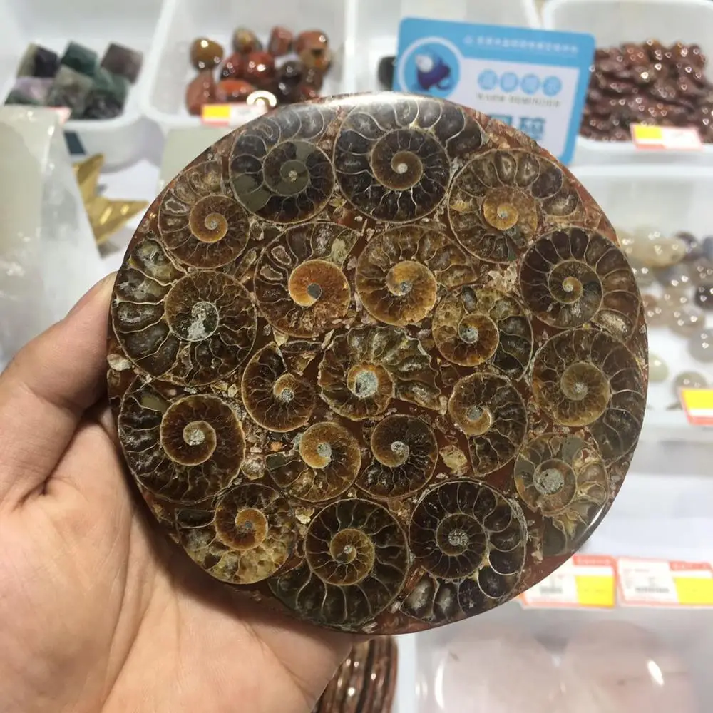 

Оптовая продажа, волшебный Спиральный диск фэн-шуй, драгоценный камень, исцеление, украшение для дома, подарки