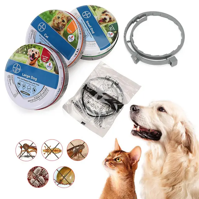 Dog Leash Buckskin Whelp Collar For Puppi Brazil Correas Para Perro Cn(origin)led Hundehalsband Ae(origin) White Pull Har Todo