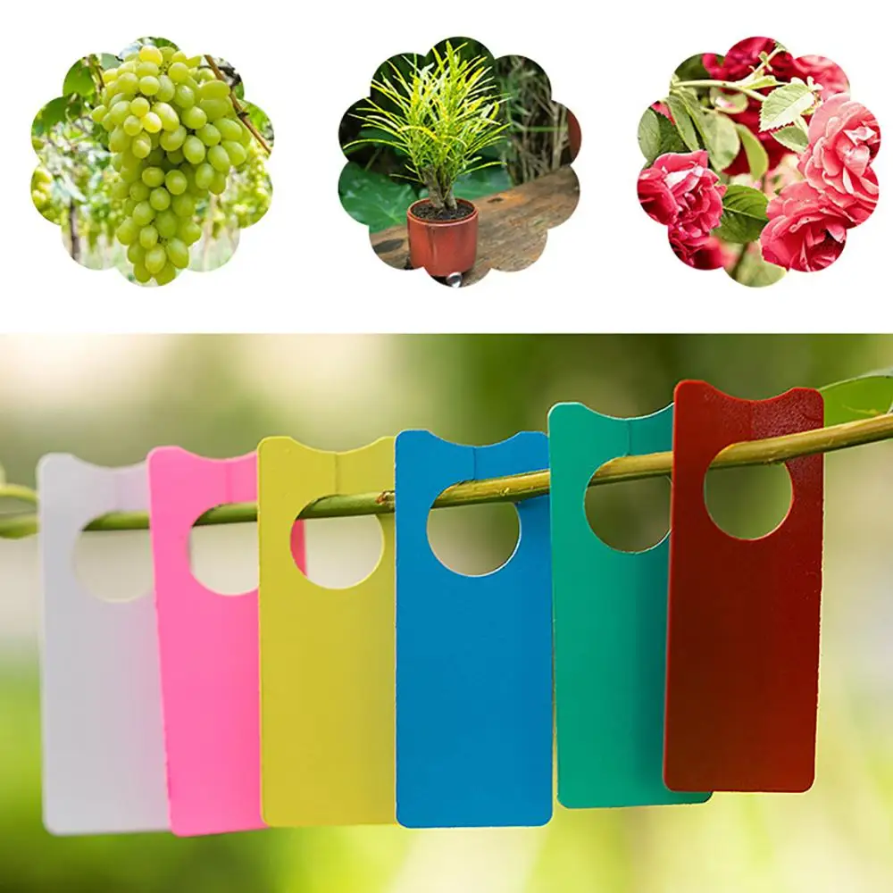 60 шт. Водонепроницаемый Пластик растений метки огород Сад завод этикетки с
