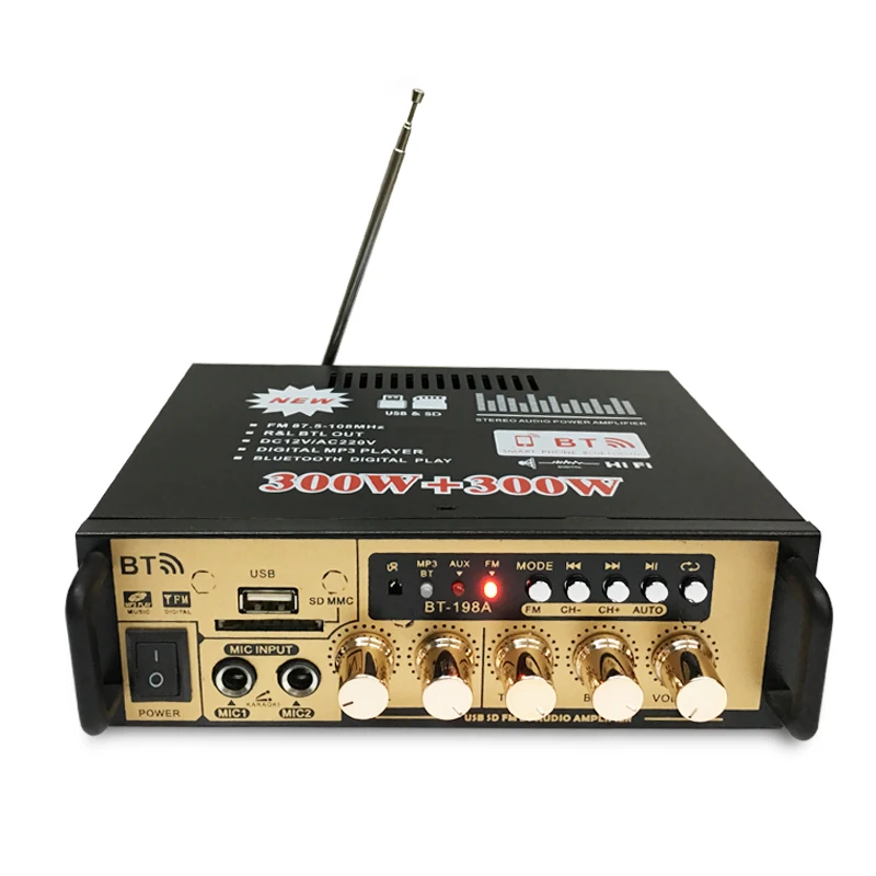 600W аудио Мощность усилитель со штепсельной вилкой европейского стандарта 12/220V 2CH