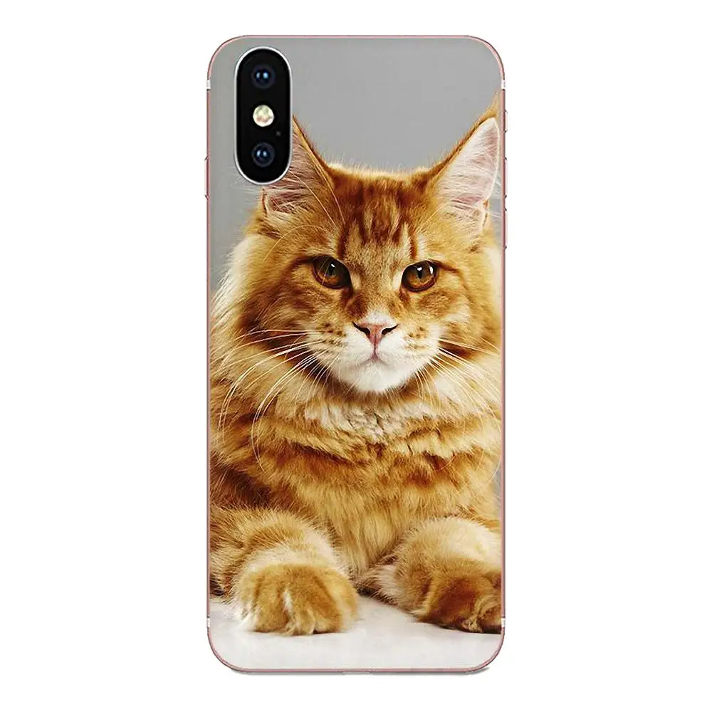 Мягкая защитная пленка из термополиуретана для htc Desire 530 626 628 630 816 820 830 один A9 M7 M8 M9