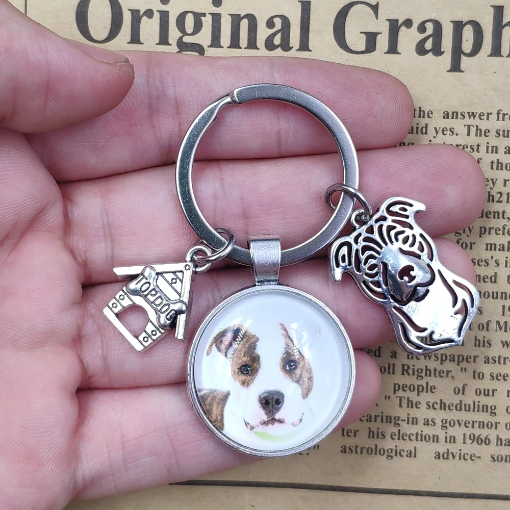 Стаффордширский бультерьер чау собака брелок для ключей с драгоценными камнями