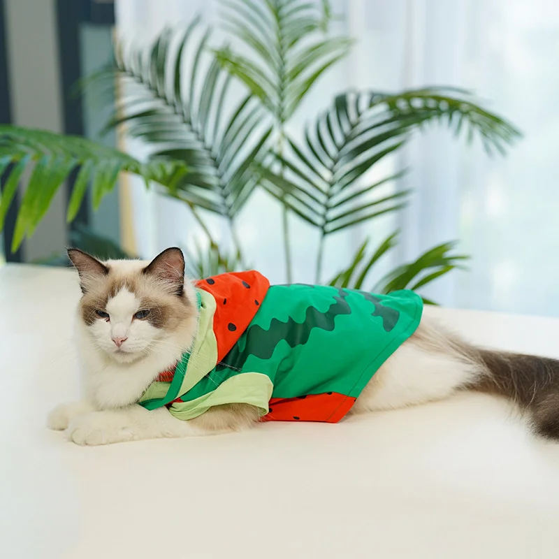 

Cute Cat Clothes Pet Dress Cat Outfit Kittens Clothes
