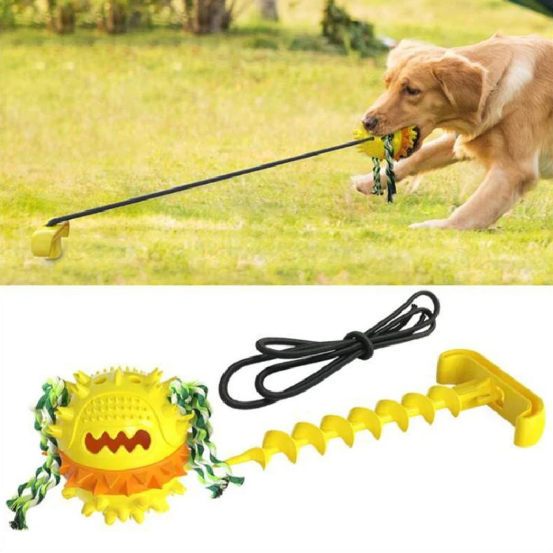 

Dog Toy Outdoor Ball Toys Wearable Chew Squeak Ball Outdoor Rope Game Sports Pet Toy Supplies