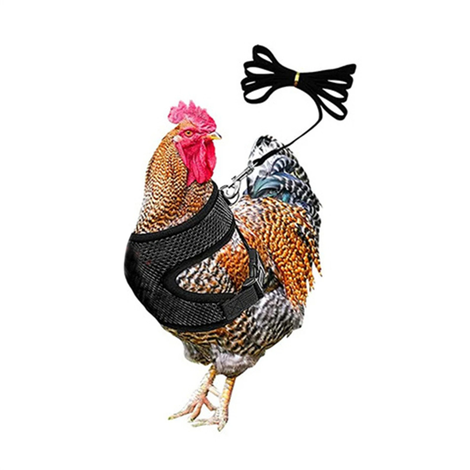 

Летняя сетчатая ремни поводка для домашних животных с изображением кошек и куриц дышащая безопасная Регулируемая легкая натуральная грудь...