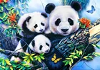 5D алмазная живопись сделай сам, животное, панда, полный круг, алмазная вышивка, вышивка крестиком, украшение для дома, подарок ручной работы