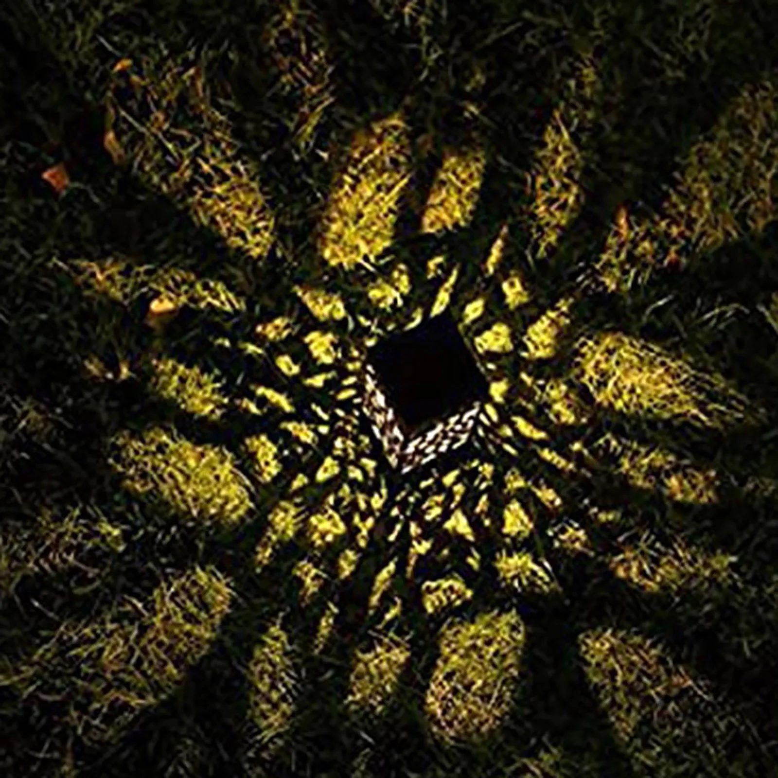 

6pcs Led Solar Light Leaf Hollow Lawn Lamp Waterproof Stake Lamp Solar Powered Sunlight Garden Decoration Warm/ White Light
