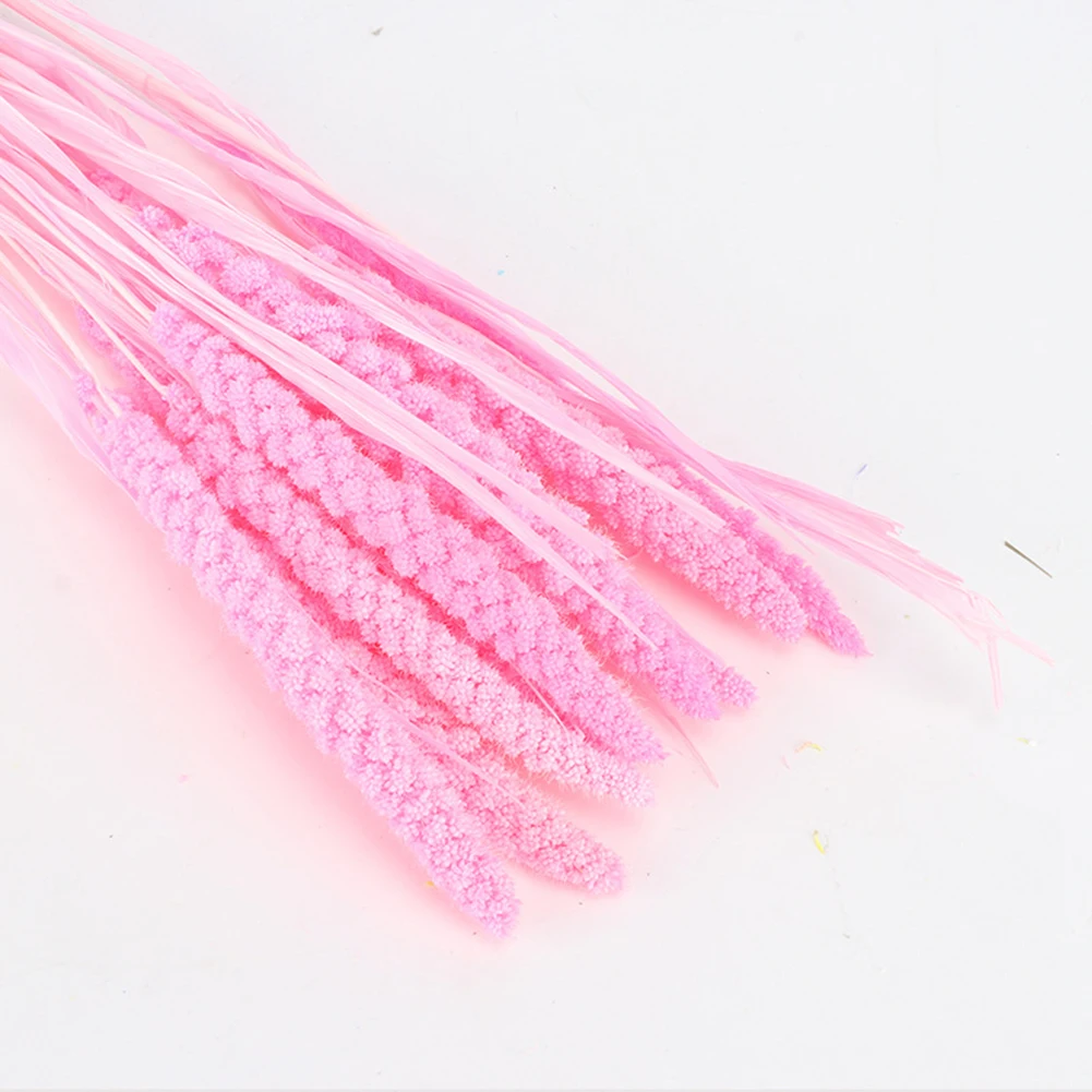 10 шт. Натуральные Сушеные свежие цветы в комплекте консервированный цветок из