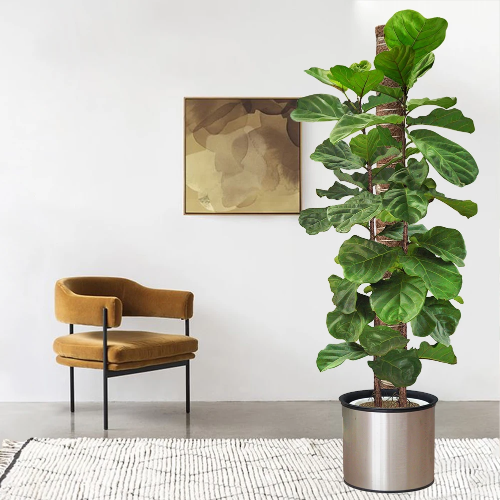 

Plant Climbing Coir Totem Pole Safe Gardening Coconut Palm Stick For Climbing Plants Vines And Creepers