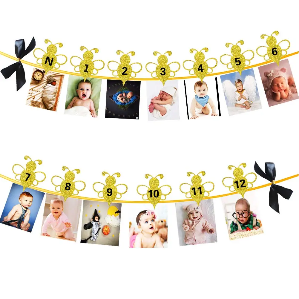 

Bumble Bee Monthly Photo Banner First Year Picture Banner 12 Month Bee Photo Banner for 1st Birthday Decoration