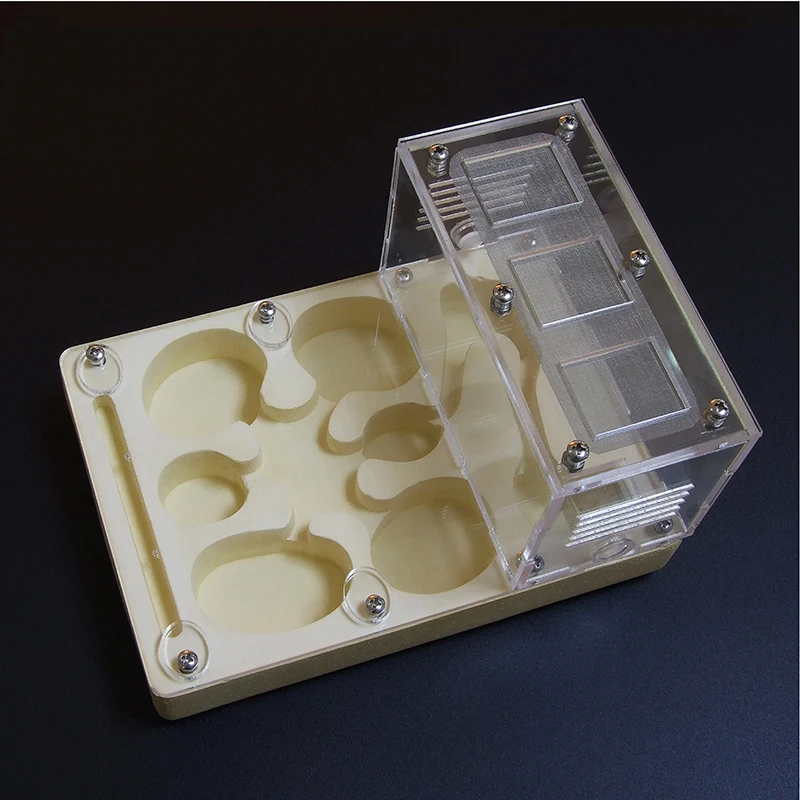 Ant Flat Nest Acrylic Farm Plus жесткая гипсовая доска ящик для насекомых Террариум
