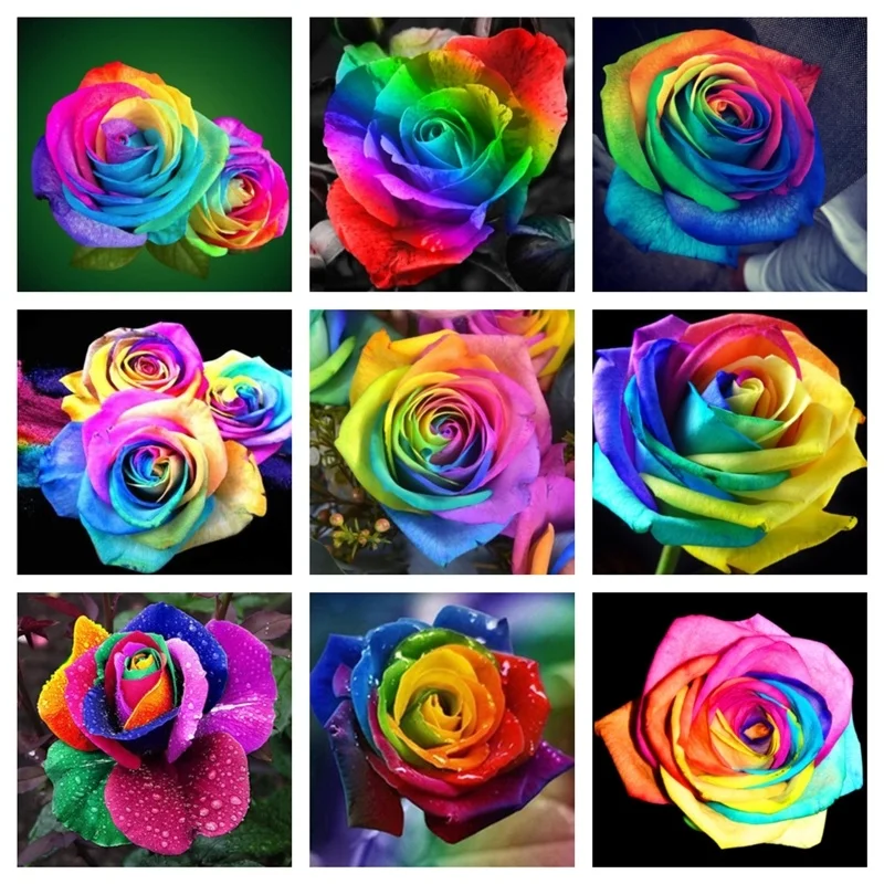 

Diamond Painting Flower Colourful Rose 5d Diy Mosaic Full Round Drill Of Rhinestone Daimond Embroidery Home Decor Gifts