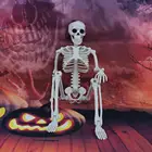 Игрушка человек на Хэллоуин со скелетом-тыквой, имитация анатомии, украшение для костей человека, секретная камера, инструменты для обучения