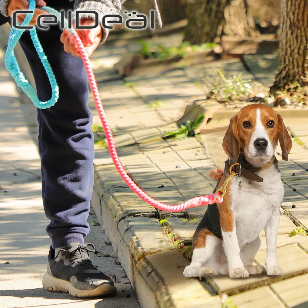 

Dog Leashs Traction Rope Rainbow Color Cotton Traction Rope For Small Medium Large Dogs Walking Durable 1.5m Long Pets Acessory