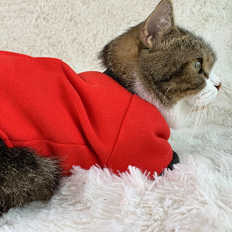 Свитер с милым котом зимний костюм теплая Женская одежда для кошек катэтен джеди
