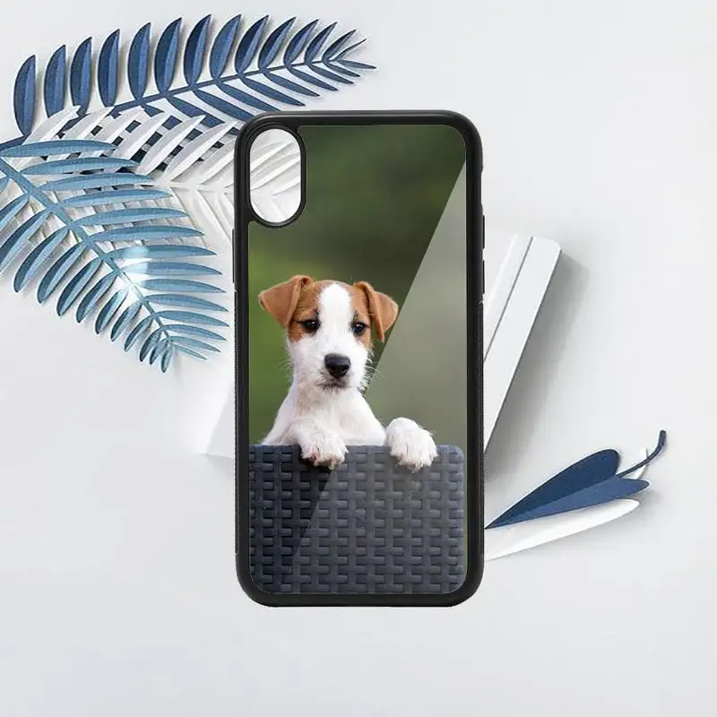

Jack Russell Terrier cute dog animal Phone Cases PC for iPhone 11 12 pro XS MAX 8 7 6 6S Plus X 5S SE 2020 XR