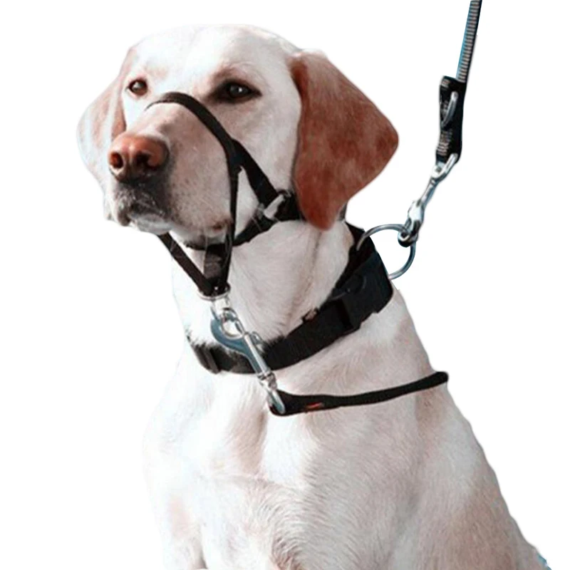 Нейлоновый Поводок для дрессировки собак|Оборудование тренировок| |