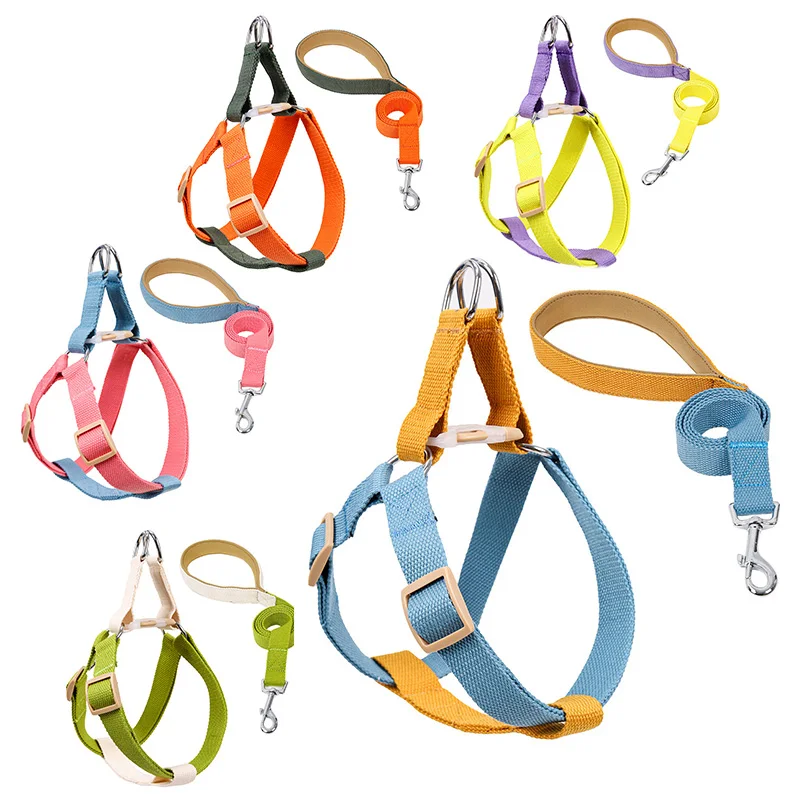 

Colorful Vest-Style Chain Chest Back Strap Dog Leash Pet Products Pet Collars For Dogs And Pets
