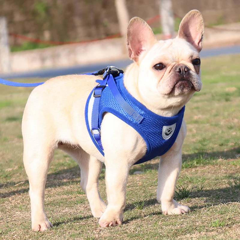 

New Pet Chest Strap Vest Type Dog Traction Rope Reflective Breathable Dog Rope Pet Supplies