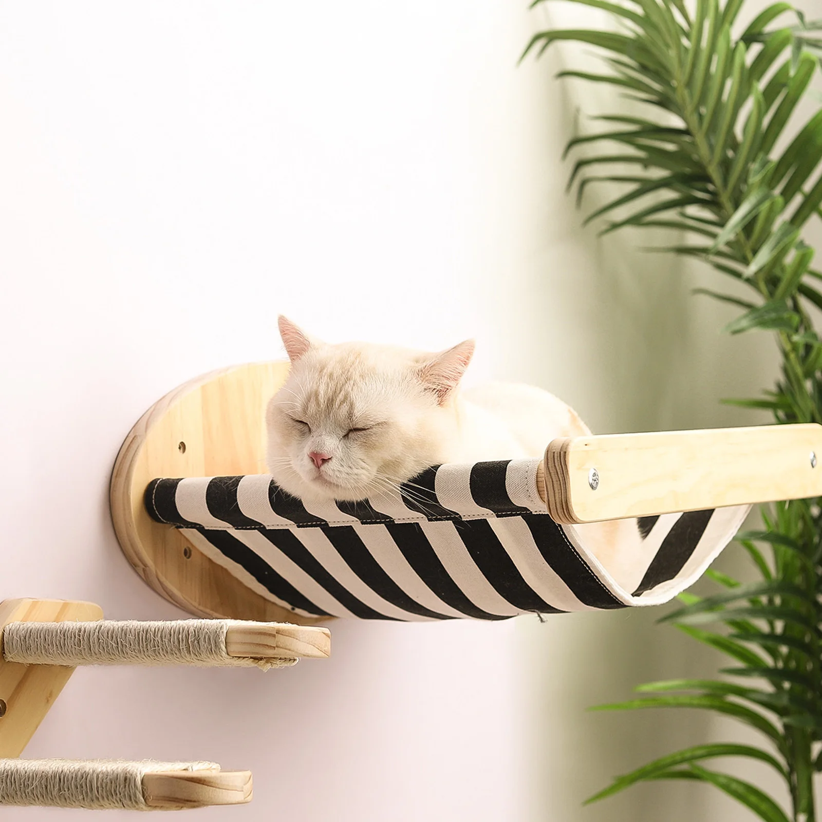 

Симпатичный гамак для кошки, настенный гамак для кошки, удобное солнечное сиденье, крепление на окно, гамак для домашних животных, мягкая по...