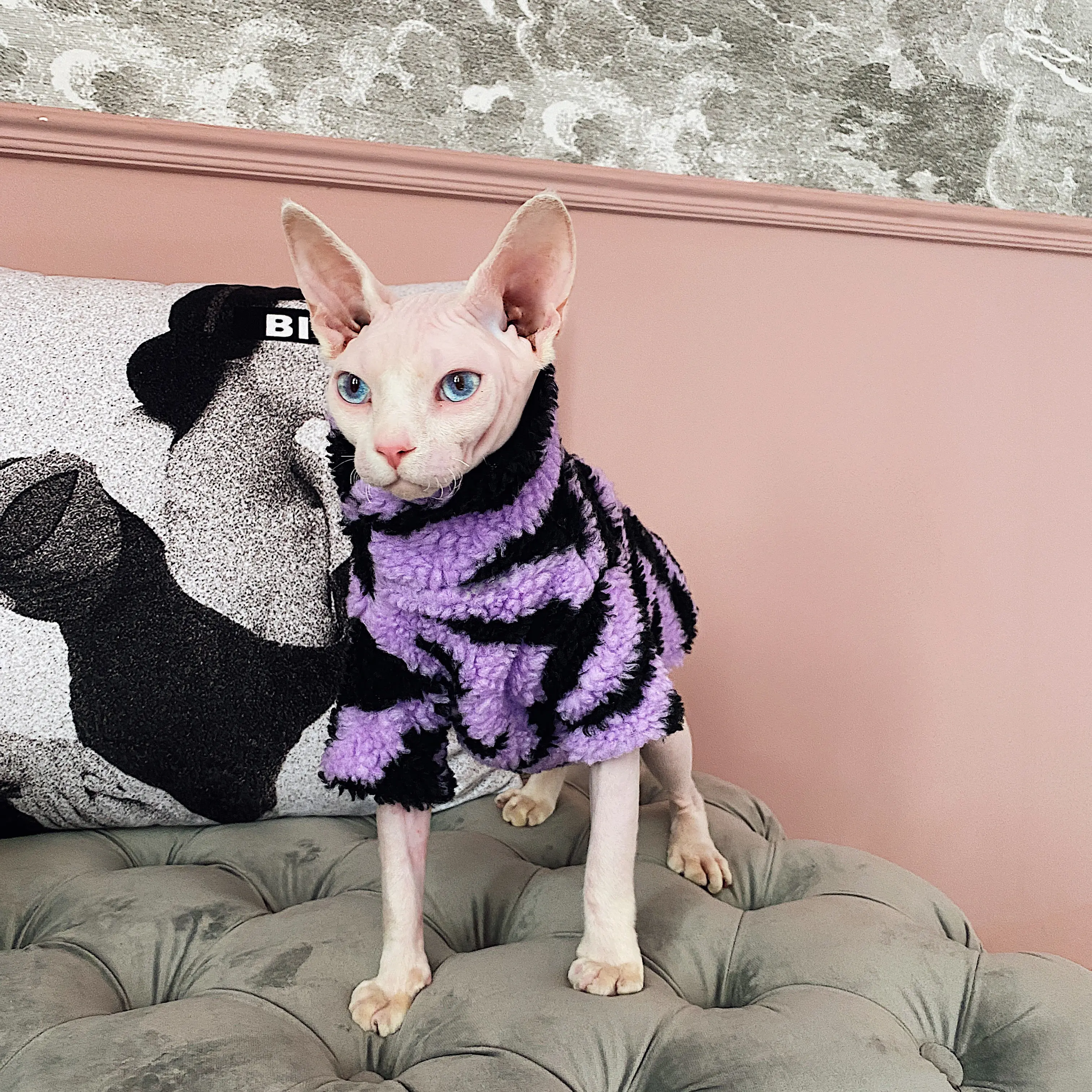 

Hairless Cat Clothes Sphinx Devon KONIS Autumn Winter Warm Lambs Thick Clothing Pet Clothes For Small Dogs Clothing for Cats