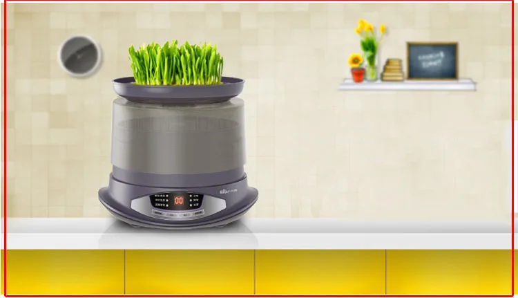 Интеллектуальный ростки фасоли машина автоматического выращивания семян Sprouter