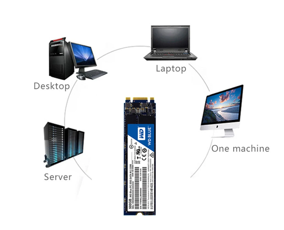 Western Digital Blue SSD 250 ГБ 500 M.2 2280 560 МБ/с. Внутренний твердотельный накопитель на жестком диске Тетрадь ПК объемом оперативной памяти 1 ТБ 2 ТБ